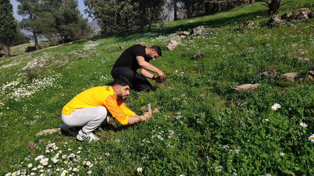 Ömrü sadece 10 gün! Koparanın hayatını karartıyor