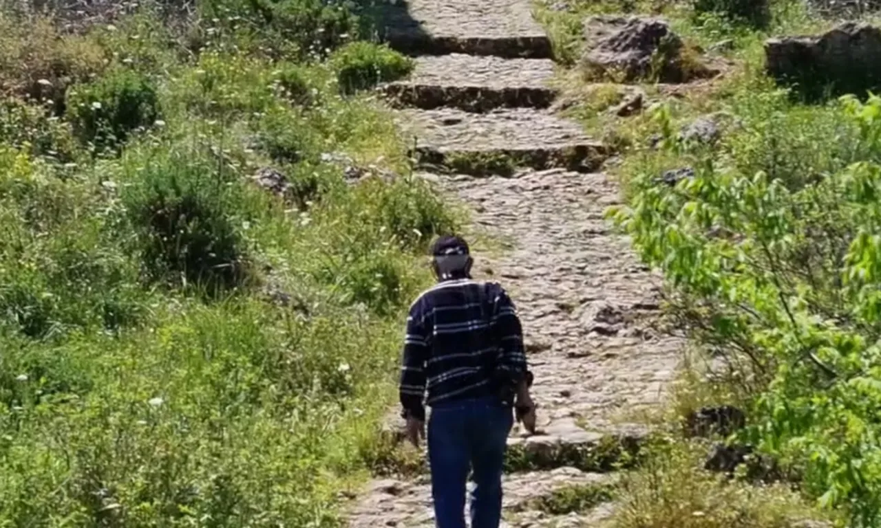 Dağlarda titizlikle iz sürerek buldu! “Torunlarıma sonsuza kadar miras bırakıyorum”