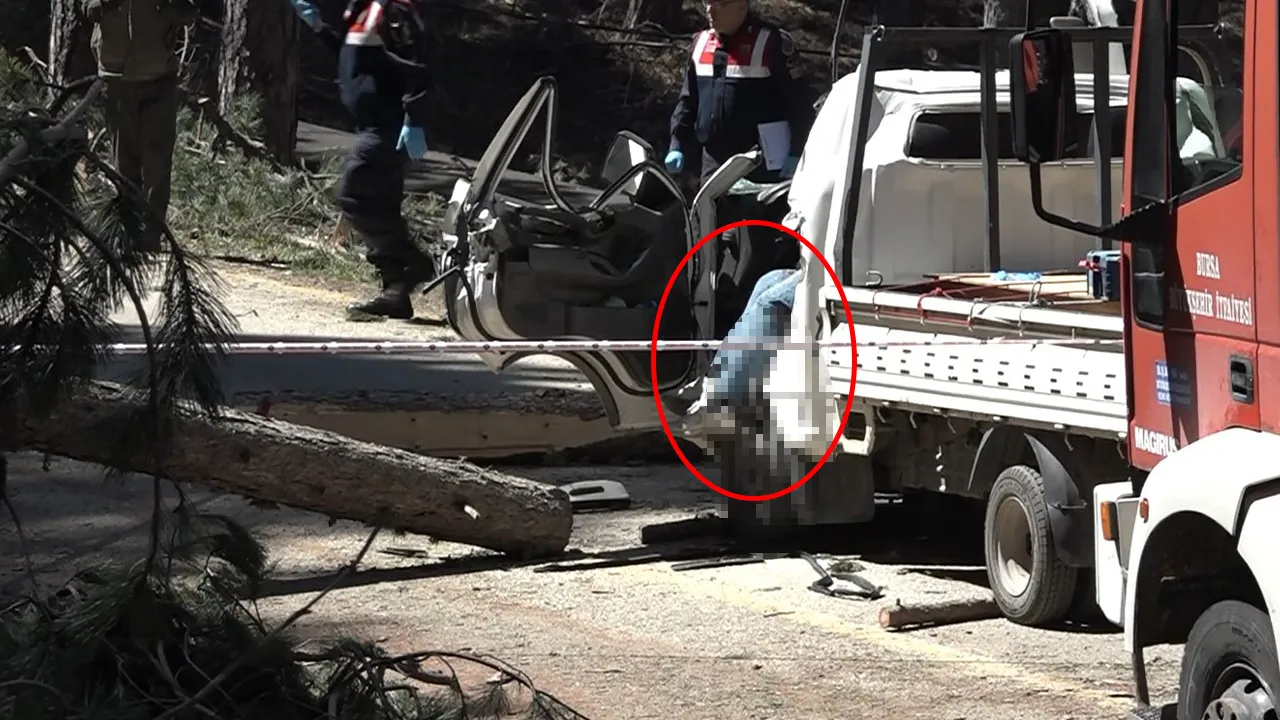Kesilen ağaç kamyoneti ezdi, sürücü feci şekilde can verdi