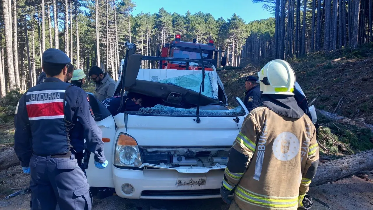 Kesilen ağaç kamyoneti ezdi, sürücü feci şekilde can verdi