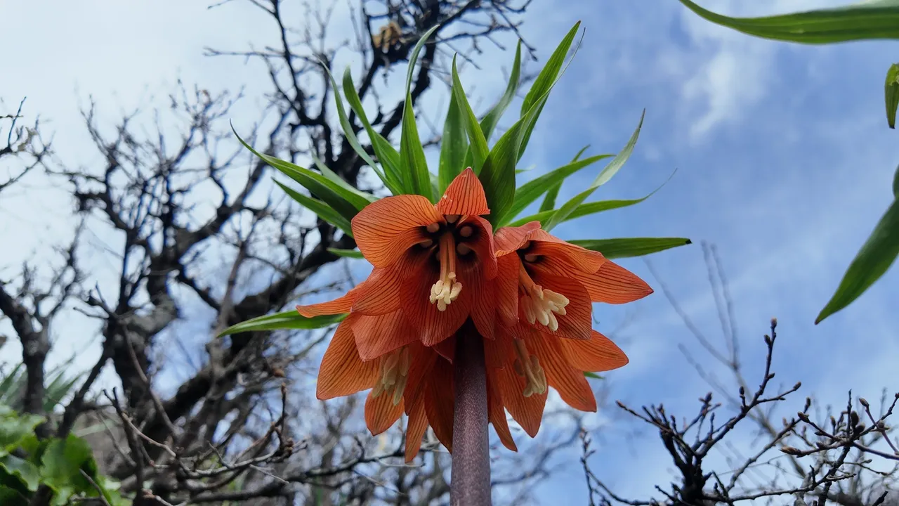 Yılda sadece 20 gün açıyor… Bakmak serbest, dokunmanın cezası ise 700 bin TL