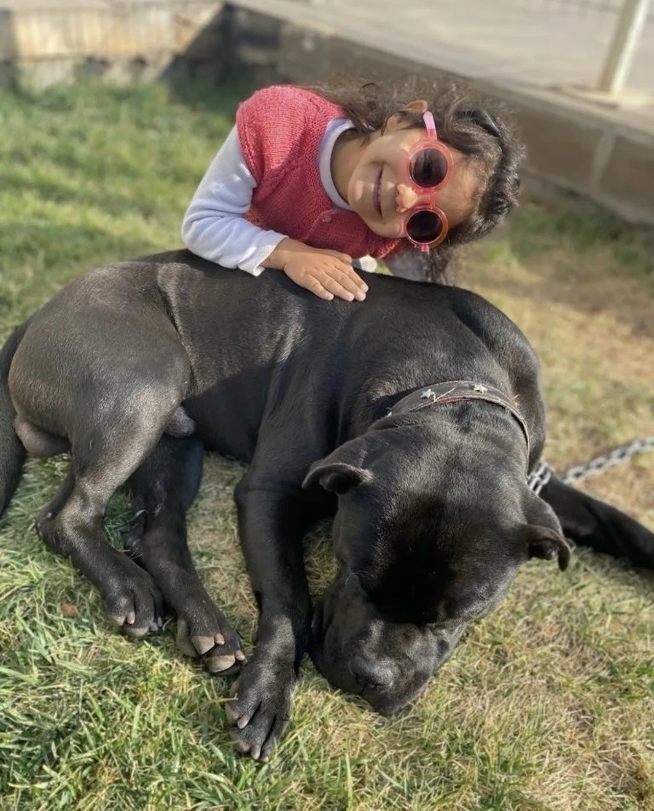 4 yaşındaki Asiye'yi parçalamışlardı! Pitbull dehşetinde hapis cezası yağdı