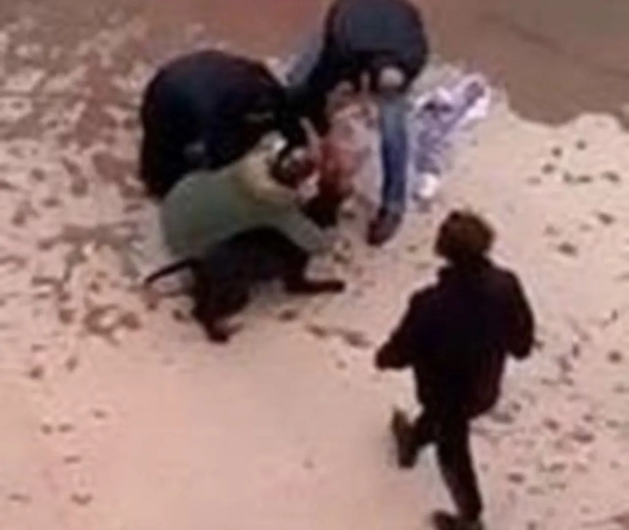 4 yaşındaki Asiye'yi parçalamışlardı! Pitbull dehşetinde hapis cezası yağdı