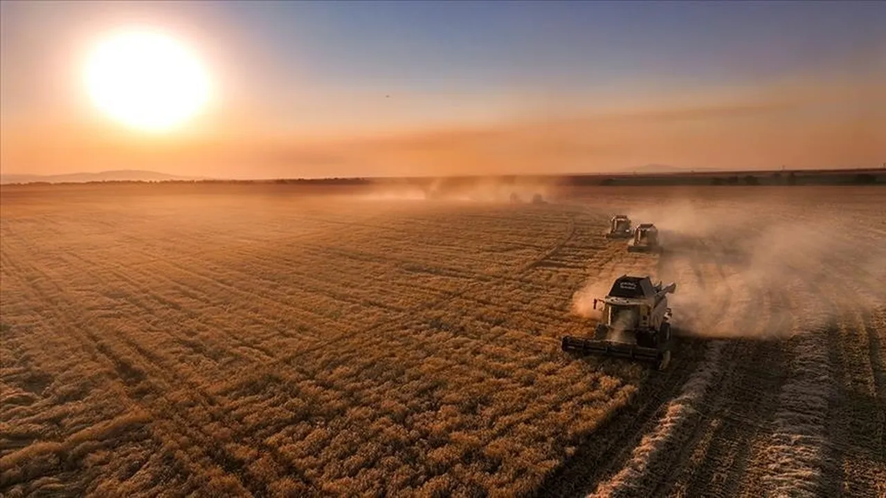 Çiftçiye destek ödemesi yatıyor! Bakanlık tarih ve saat verdi