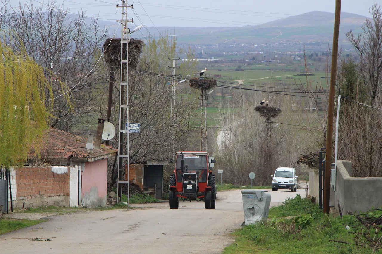 Hane sayısını geçtiler, köyün adını değiştirdiler: Amasyanın Leylekli Köyünde büyük buluşma