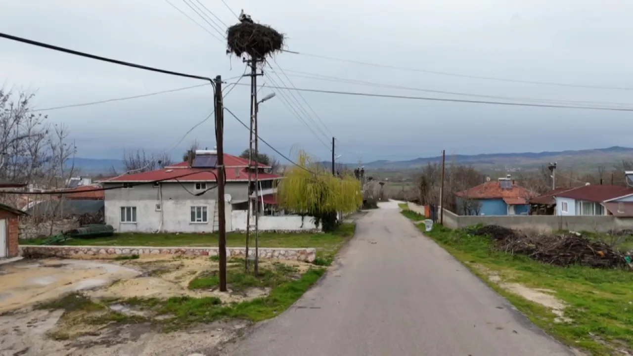 Hane sayısını geçtiler, köyün adını değiştirdiler: Amasyanın Leylekli Köyünde büyük buluşma