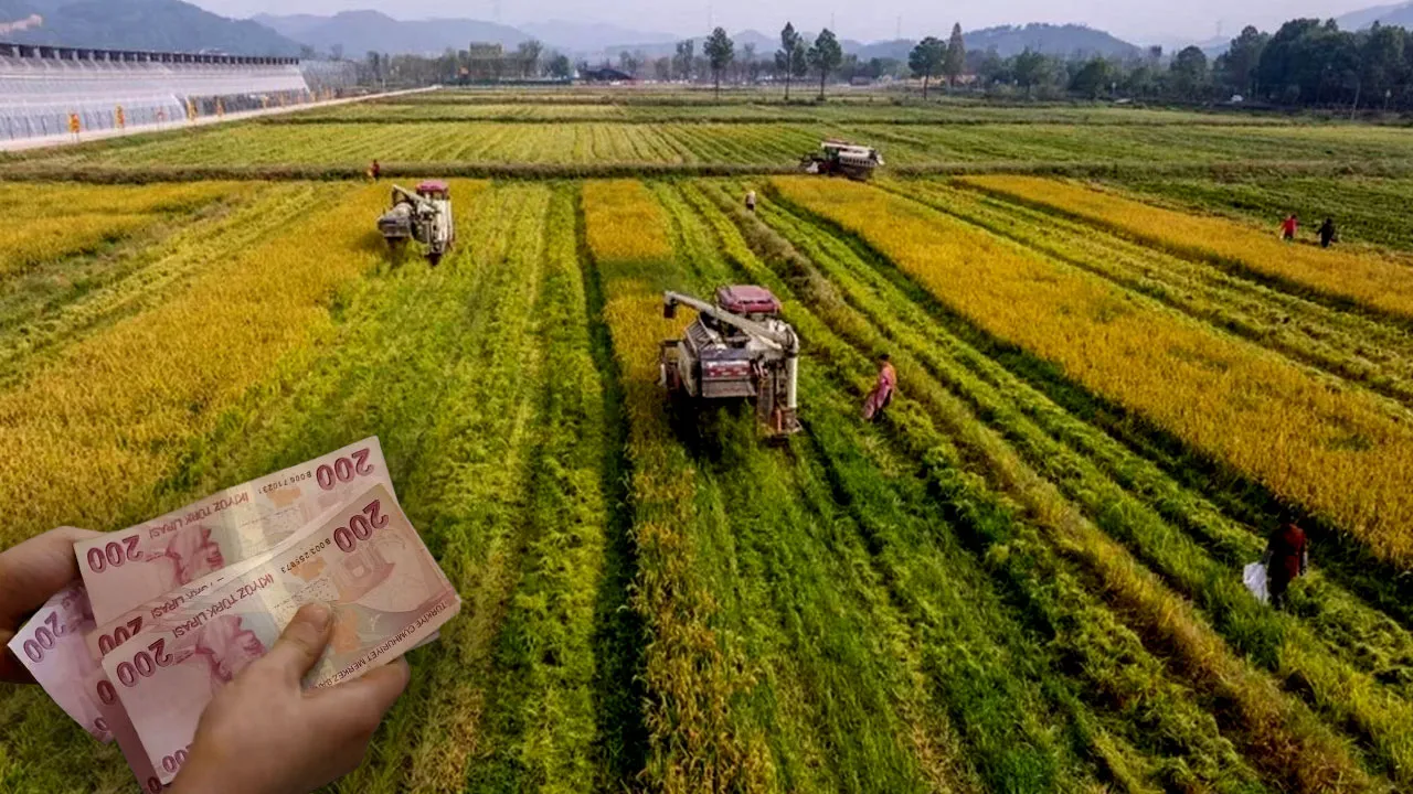 Tarıma yüzde 70 hibe! Gençlere, kadınlara aile işletmelerine...