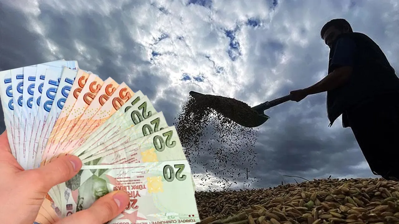Üst limit 30 milyon, alt limit 100 bin lira! Tarım yatırımlarına yüzde 70’e varan hibe
