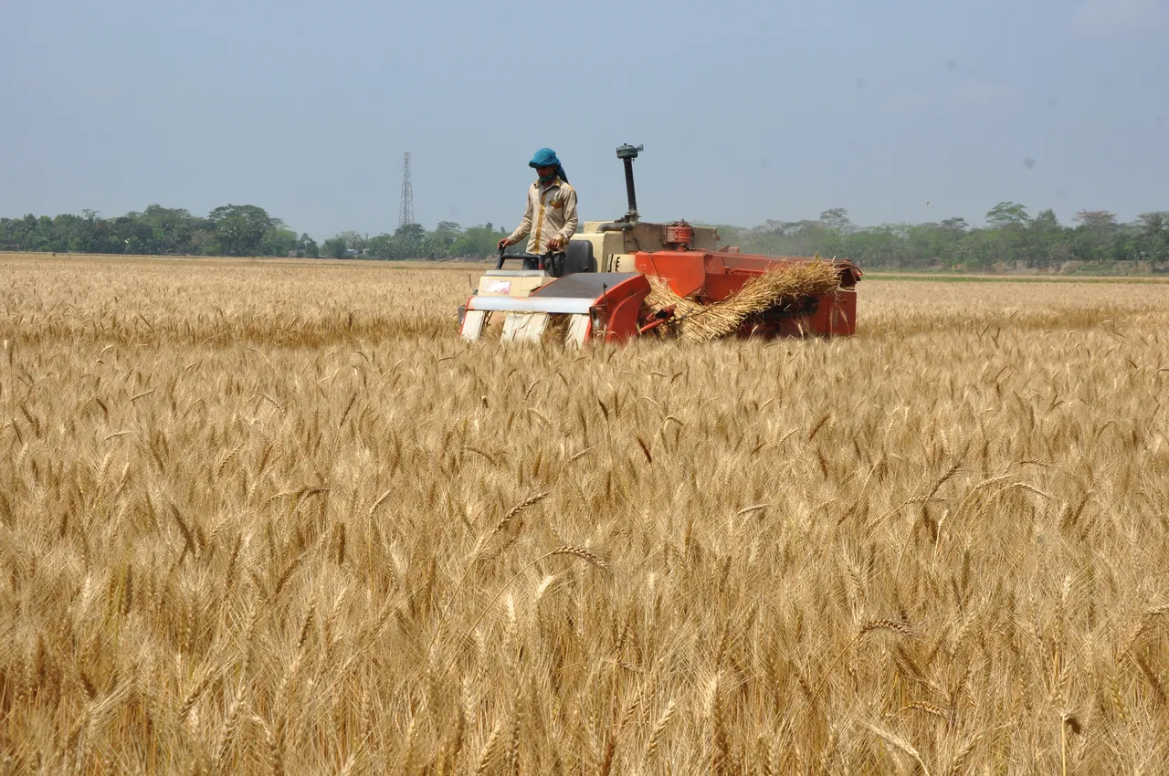 1 Mayıs İşçi Bayramı mesajları paylaşılıyor! Emek ve Dayanışma Günü kutlama sözleri