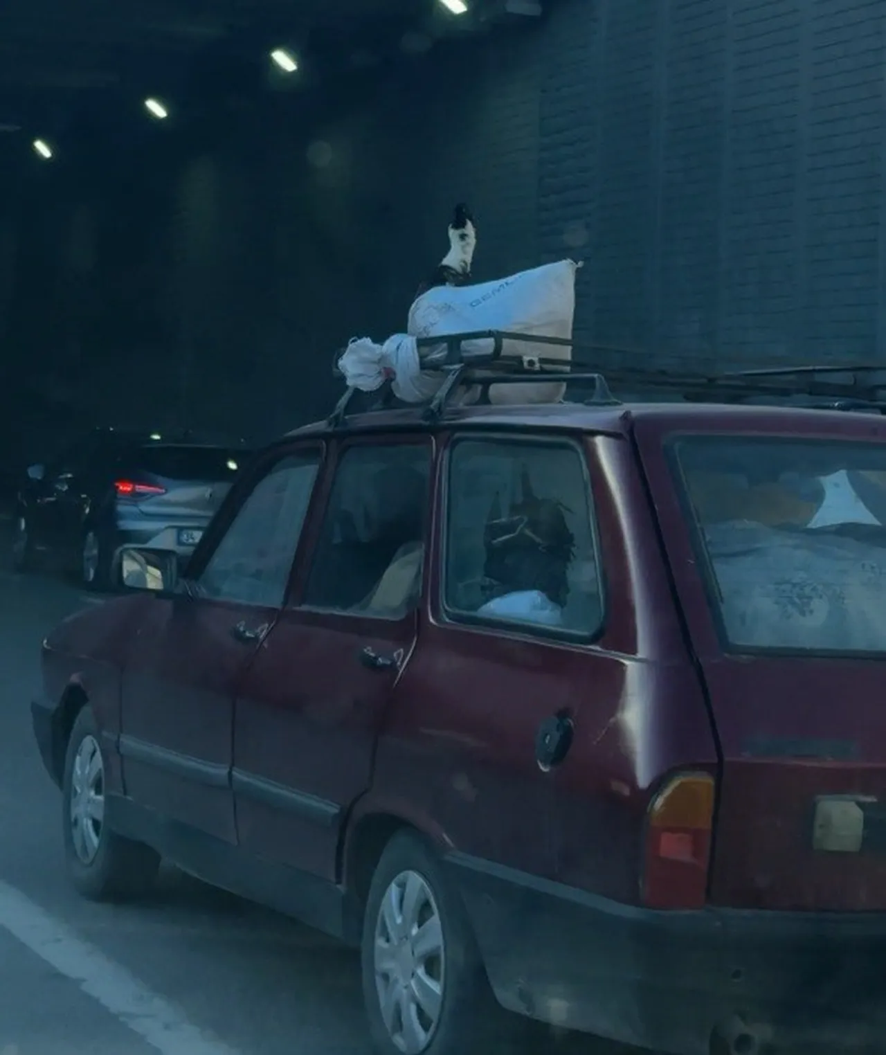 Aracın üzerinde gören inanamadı! Çuvalda kazı böyle taşıdılar