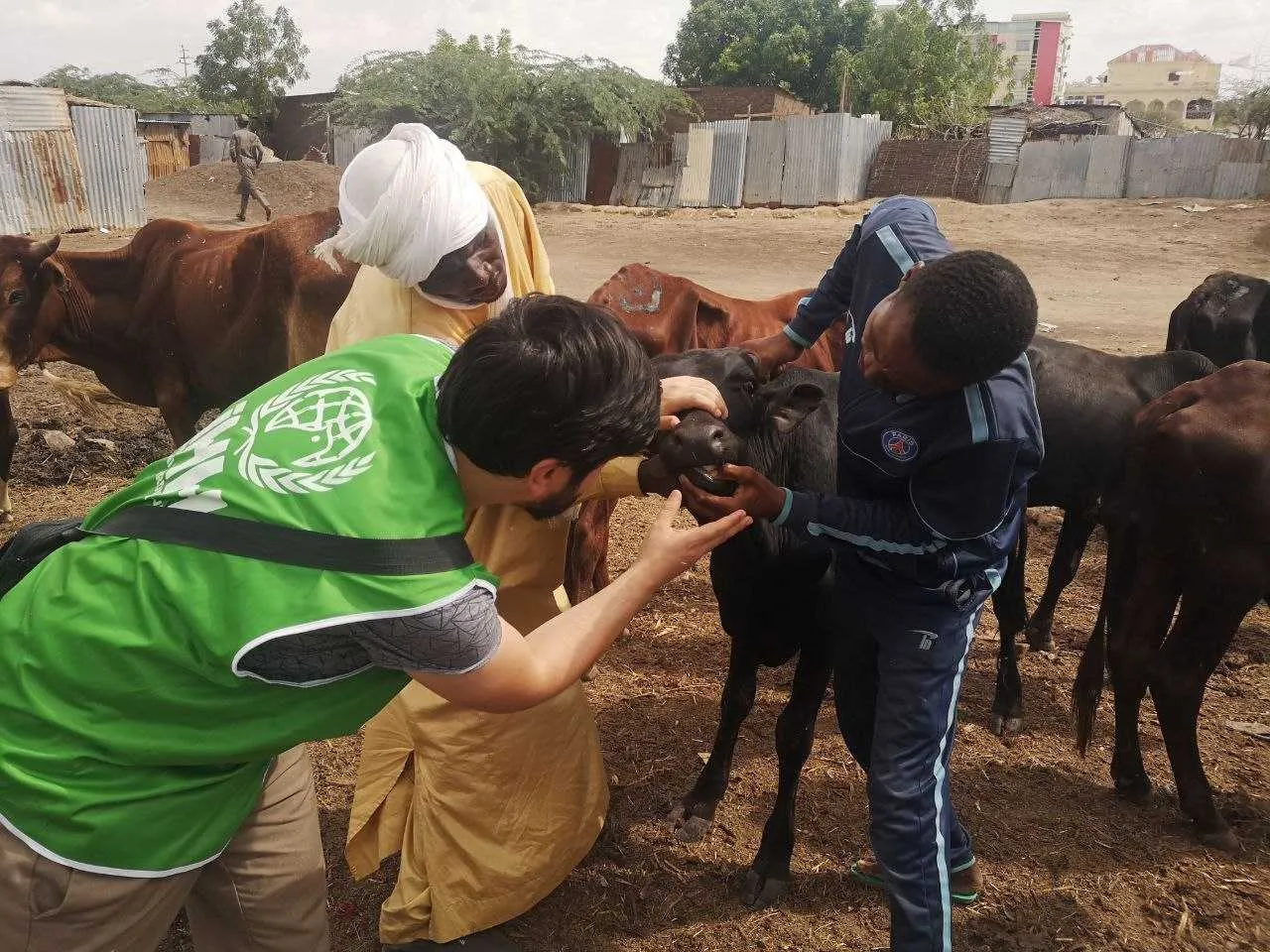 İHH, bu yıl 61 ülkede 3,5 milyon kişiye kurban ulaştırmayı hedefliyor