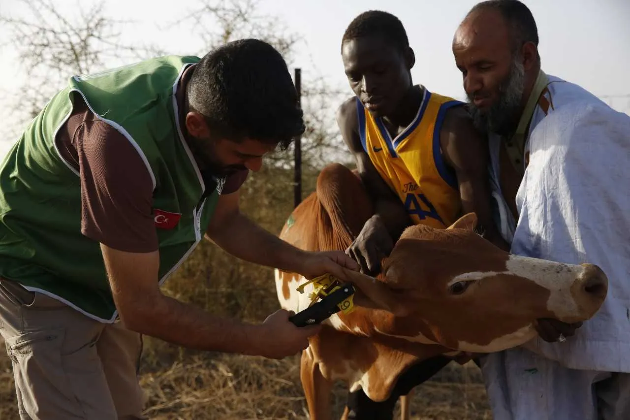İHH, bu yıl 61 ülkede 3,5 milyon kişiye kurban ulaştırmayı hedefliyor