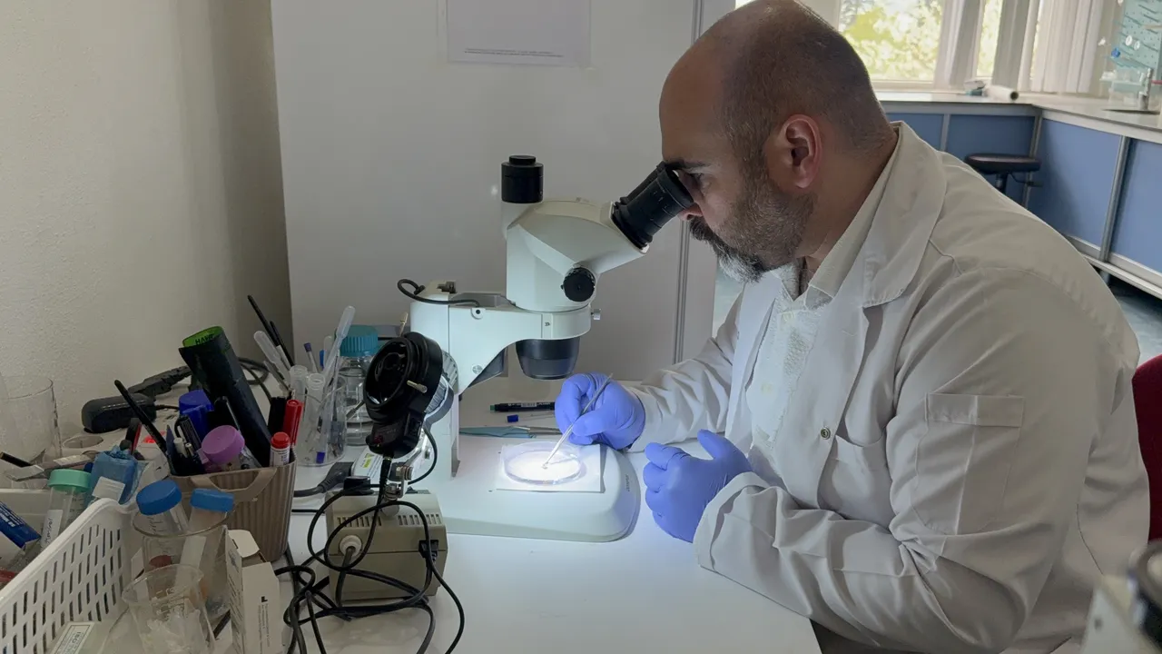 ‘Kâbus virüs’ün takvimi değişti! Öldüren risk Ekim’e kadar uzadı, kene popülasyonu bu yaz artabilir