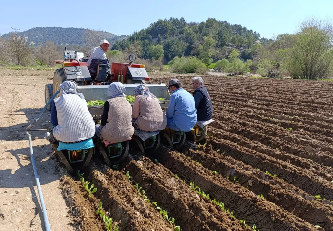 Manisa Selendi'de tarım işçilerinin yevmiyesi belli oldu