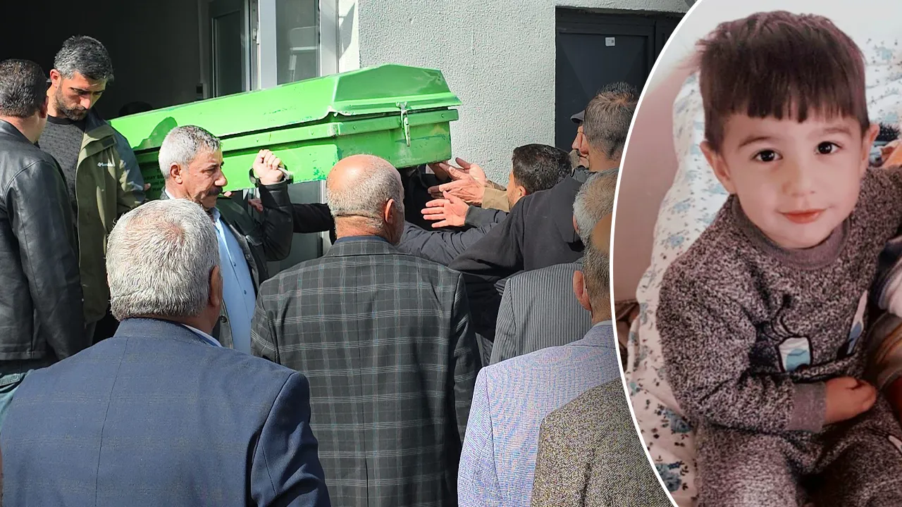 Van'da sokak köpeği dehşeti! 5 yaşındaki Hamza öldü, Ayaz yaralandı