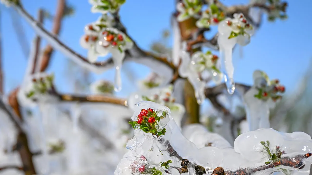 Yaz geliyor derken kış dönüyor... Sıcaklık 10 derece birden düşecek, kar kapıda