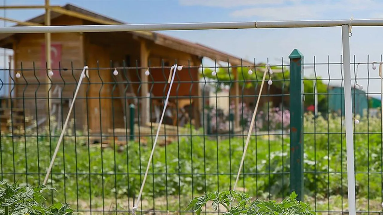 Bu düzenleme çok can yakacak! Tarım arazisine izinsiz yapı yıkılacak