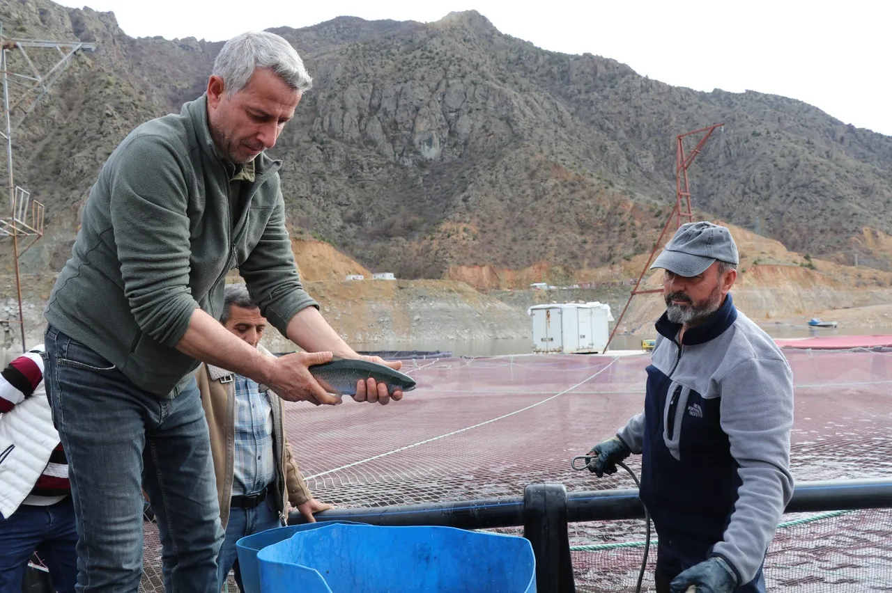 Denizi olmayan kentimizde yılda 300 ton balık üretiyorlar
