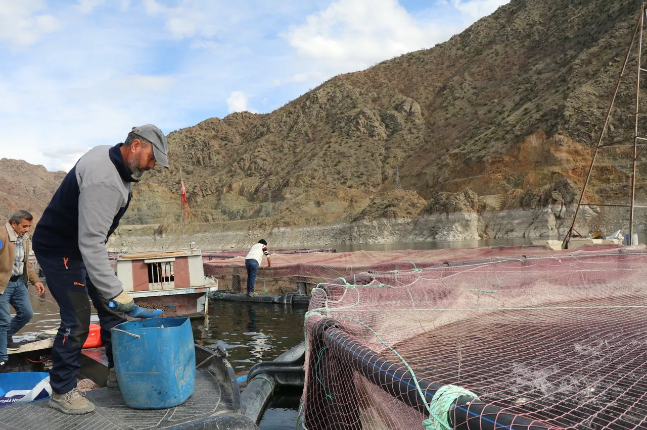 Denizi olmayan kentimizde yılda 300 ton balık üretiyorlar