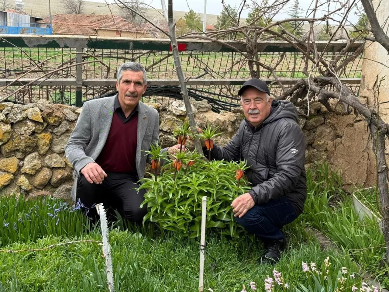 Kanunen de koruma altında! Gözleri gibi bakıyorlar... Koparan 700 bin TL öder