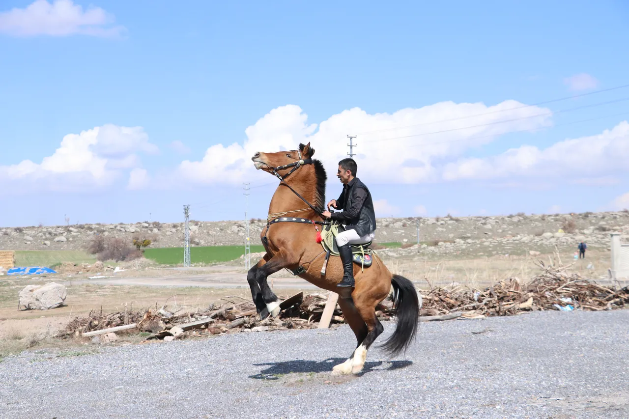 Otomobil değil,  Deli  ile dört nala hizmet: Ağırnas’ın atlı muhtarı ezber bozuyor