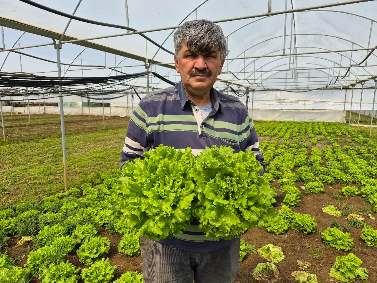 Tarlada 15, markette 100 TL! Üretici dertli: Biz değil, aracılar kazanıyor 