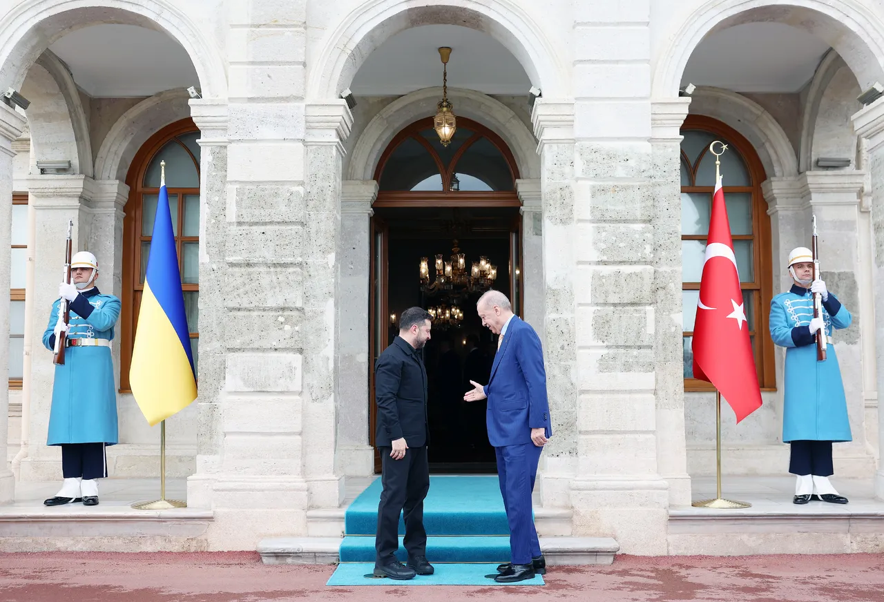 Ukrayna Devlet Başkanı Zelenskiy, Cumhurbaşkanı Erdoğan'la görüştü