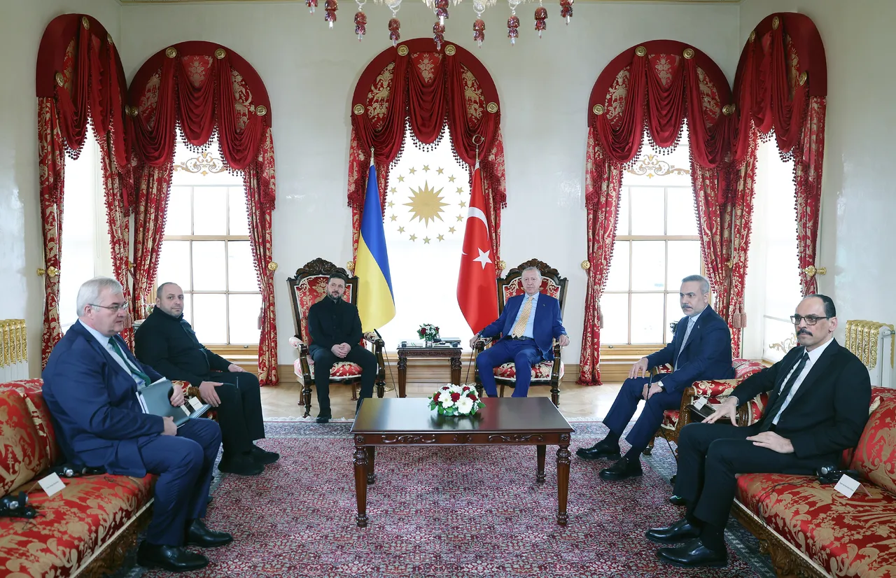 Ukrayna Devlet Başkanı Zelenskiy, Cumhurbaşkanı Erdoğan'la görüştü