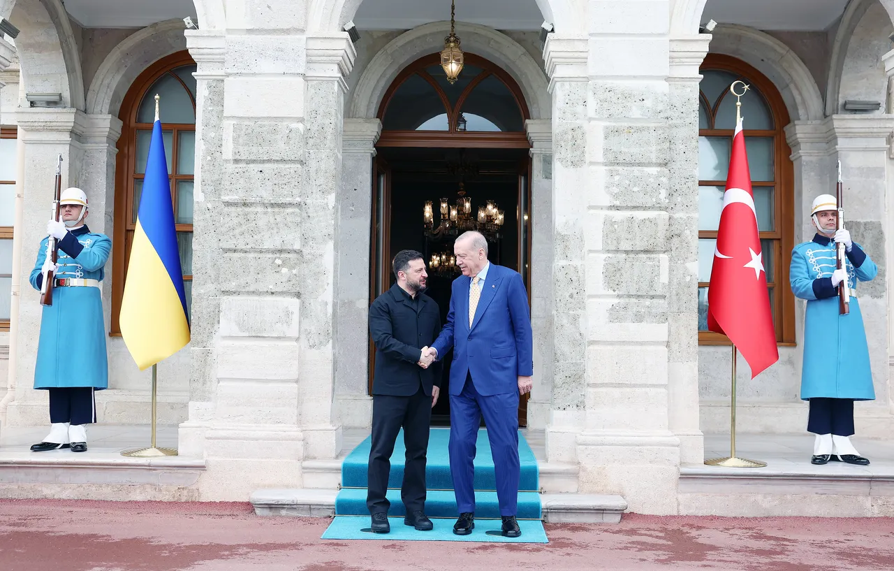 Ukrayna Devlet Başkanı Zelenskiy, Cumhurbaşkanı Erdoğanla görüştü