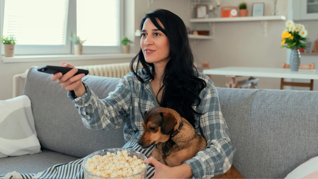 Ünlü teknoloji devi müjdeyi verdi! Kedi ve köpeklere özel kanal açıldı