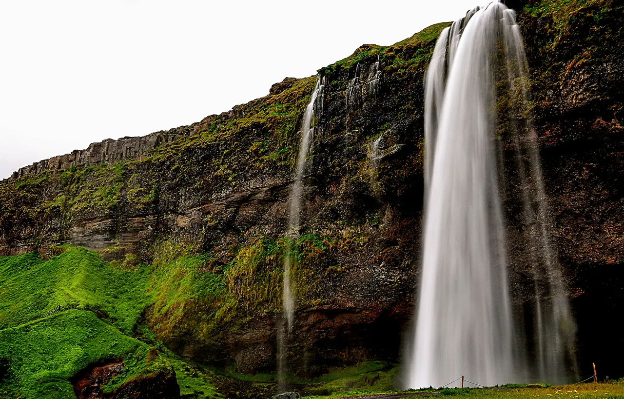 10 gün tatil gibi iş, 2 milyon lira kazanç! Detaylar ortaya çıktı