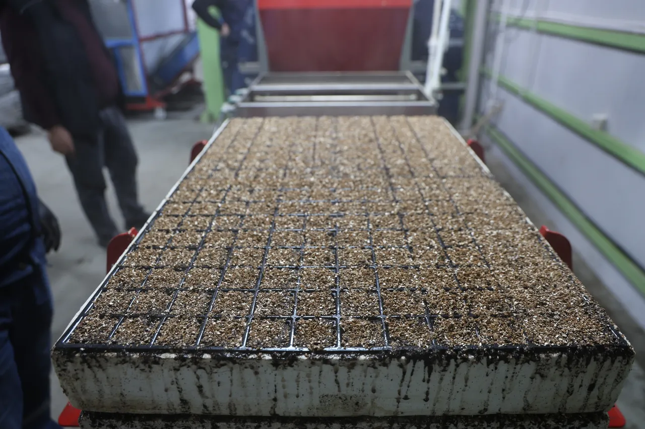 20 günde üretiliyor! 10 bin metrekarede 8 çeşit var