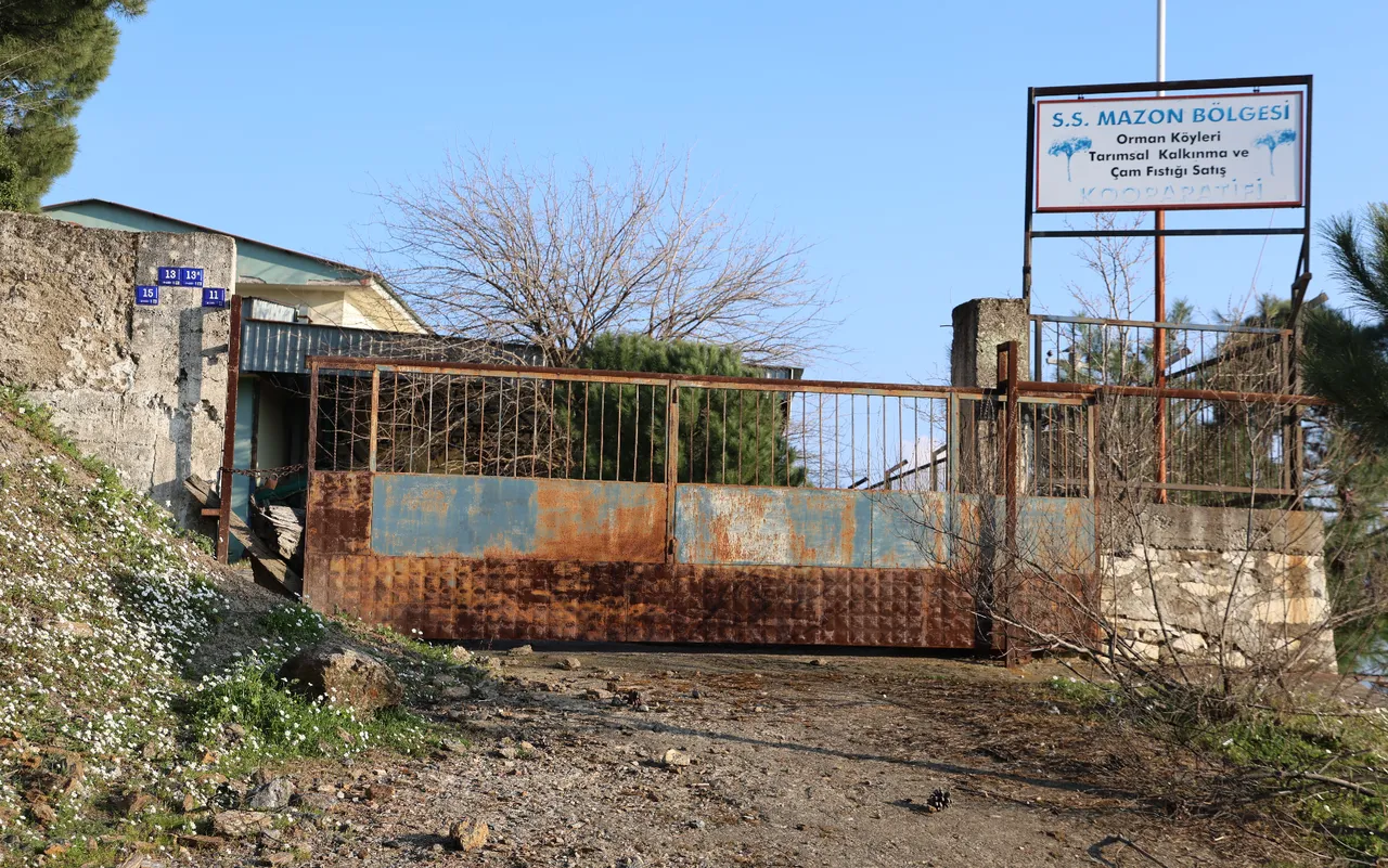 Bir zamanlar umuttu, şimdi harabe! Dev yatırım hurda yığınına döndü