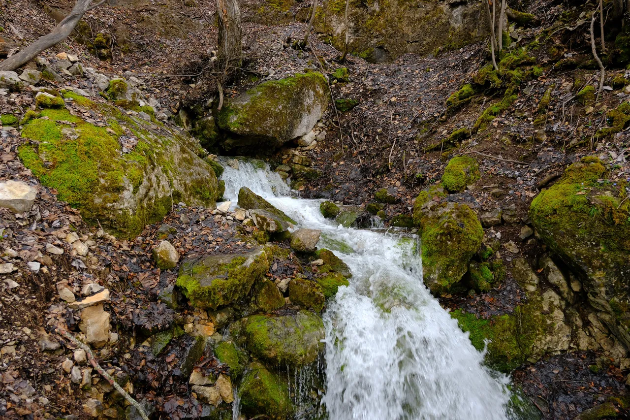 Gümüşhanenin gizemli su kaynağı: Doğa tutkunlarının gizli rotasında asırlık patikalar dev şelalelere çıkıyor