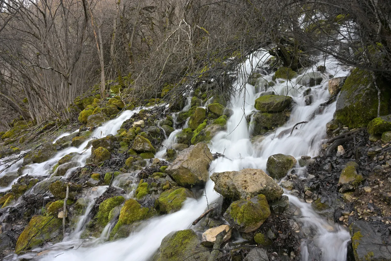 Gümüşhanenin gizemli su kaynağı: Doğa tutkunlarının gizli rotasında asırlık patikalar dev şelalelere çıkıyor