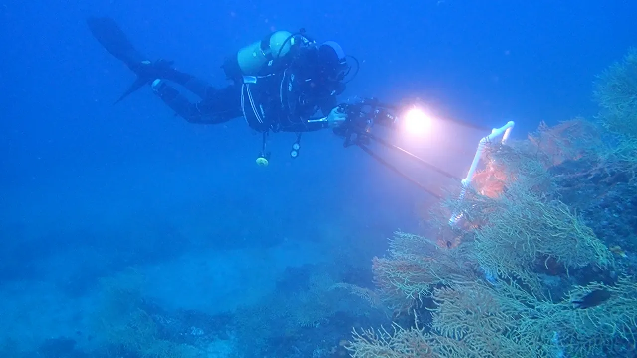 Marmara’dan Hayırsız Adaya uzanıyor! 2 yıl sürecek, denizlerin ciğerini yeşillendirecek proje