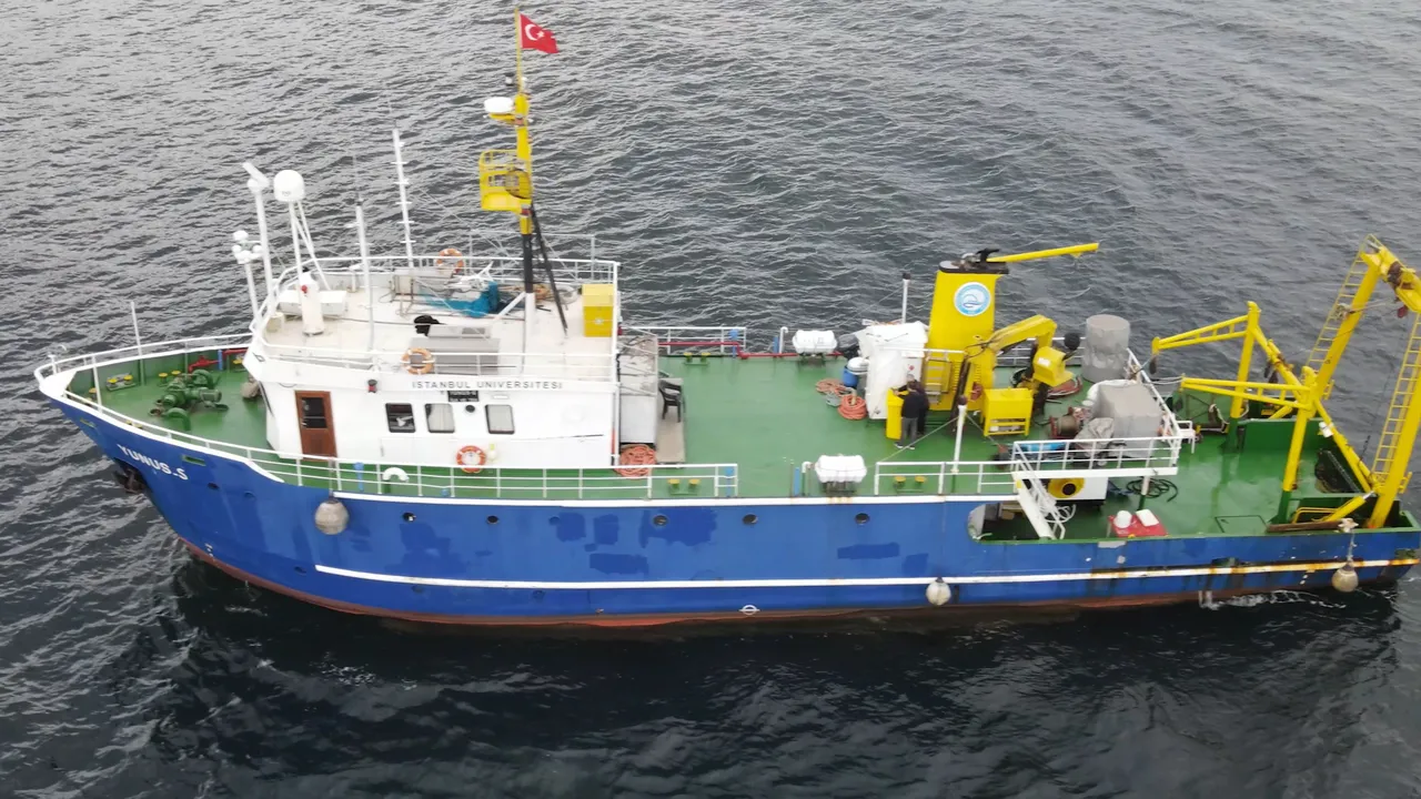 Marmara’dan Hayırsız Adaya uzanıyor! 2 yıl sürecek, denizlerin ciğerini yeşillendirecek proje