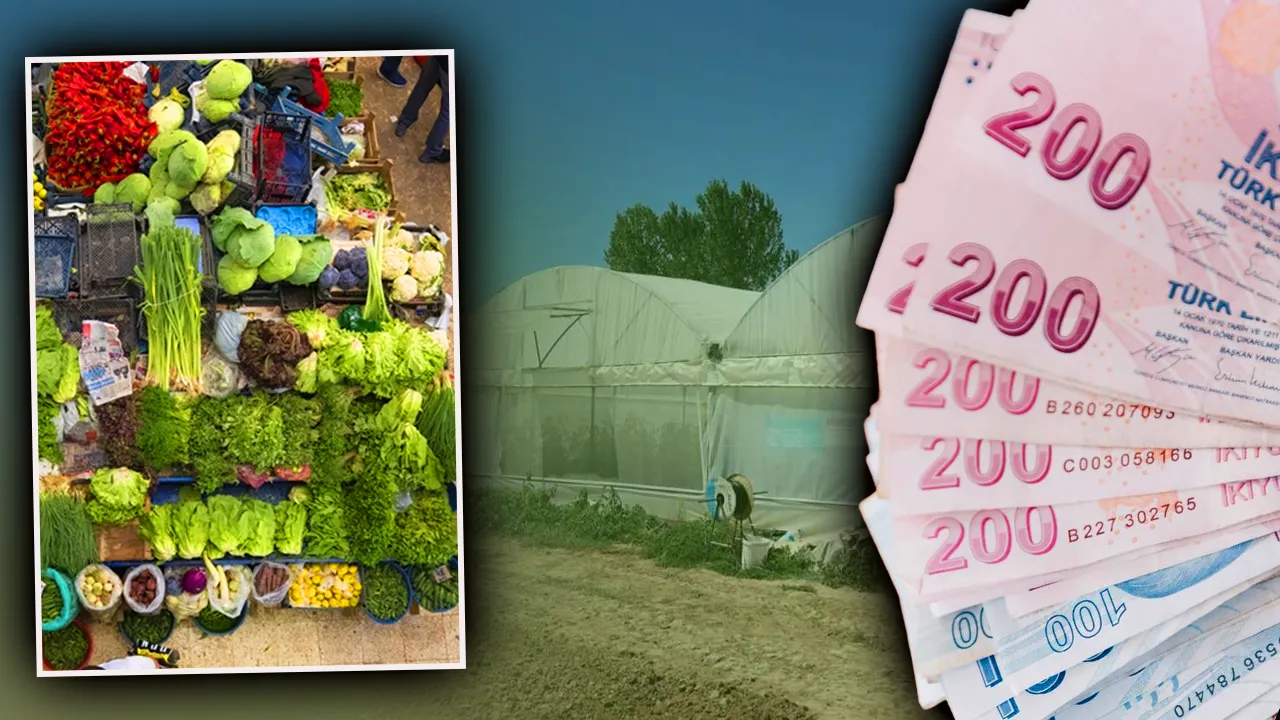 Tarlada 30, tezgahta 80 lira! Marulda altın dönem, Geçen yıl elden çıkmıyordu, bu yıl kapış kapış gidiyor 