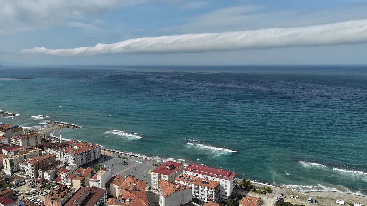 Türkiye’de nadir görülüyor! Samsun’da ortaya çıktı, saniyede hızı 20 metre, gören telefona sarıldı 