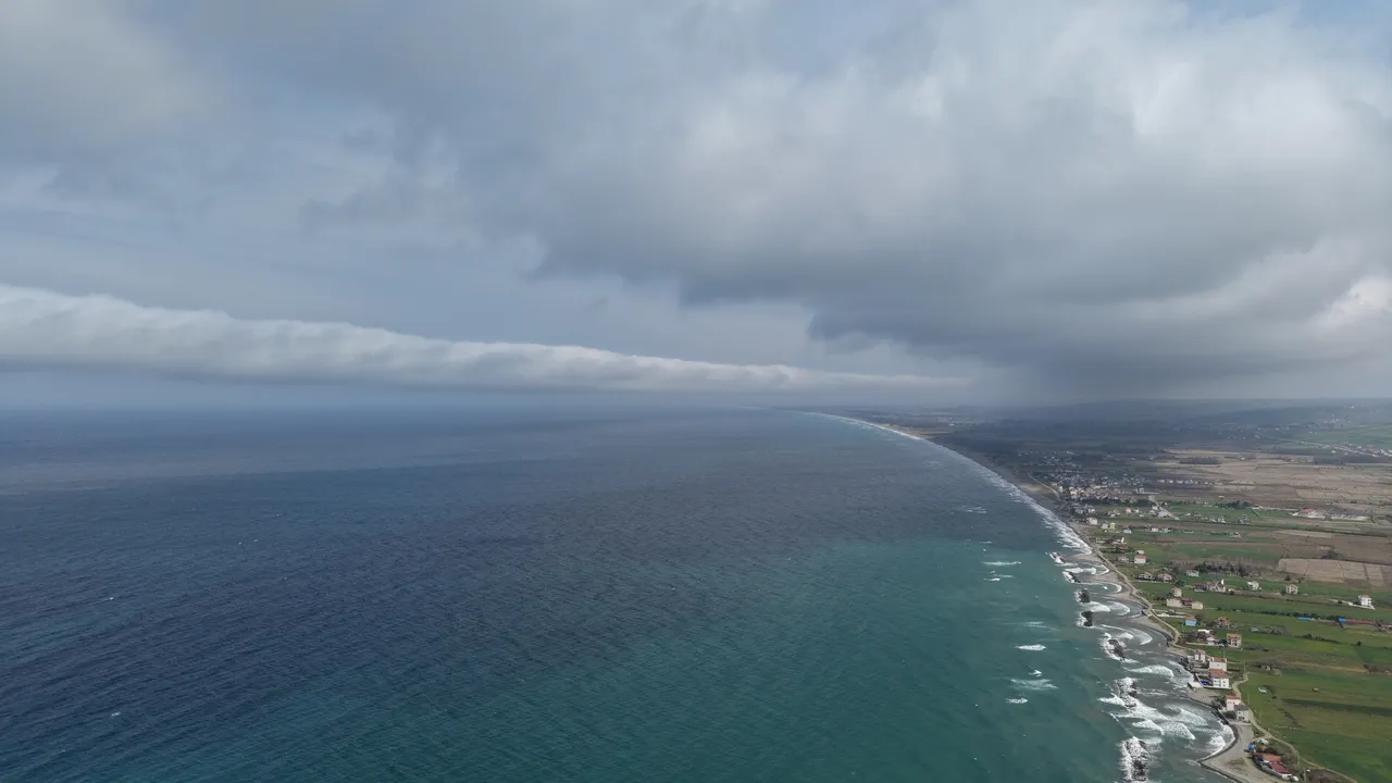 Türkiye’de nadir görülüyor! Samsun’da ortaya çıktı, saniyede hızı 20 metre, gören telefona sarıldı