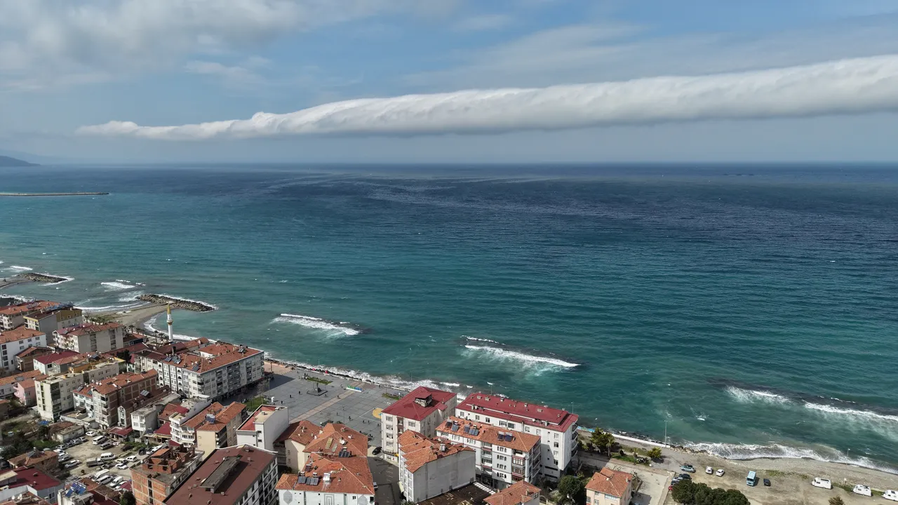 Türkiye’de nadir görülüyor! Samsun’da ortaya çıktı, saniyede hızı 20 metre, gören telefona sarıldı