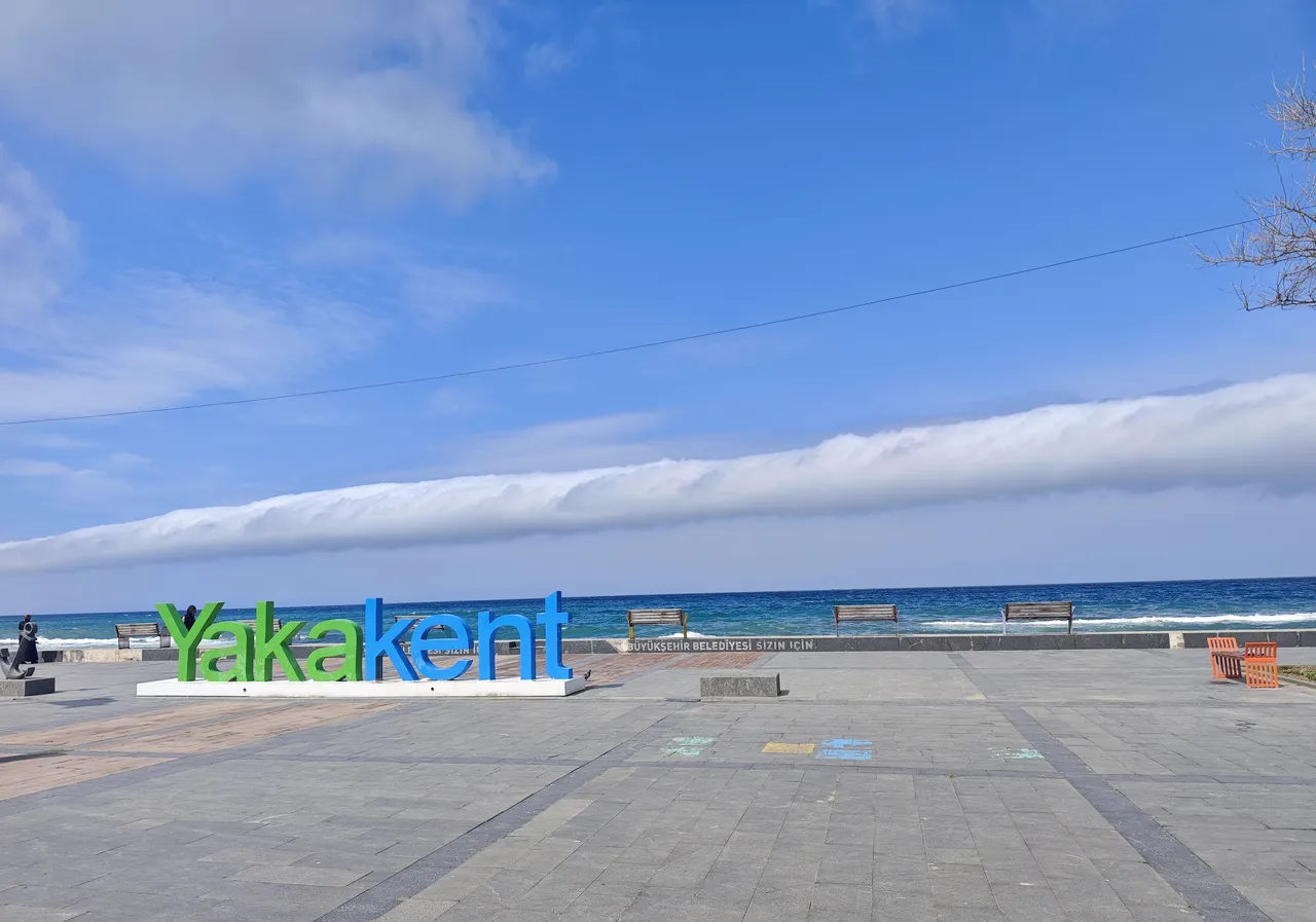 Türkiye’de nadir görülüyor! Samsun’da ortaya çıktı, saniyede hızı 20 metre, gören telefona sarıldı