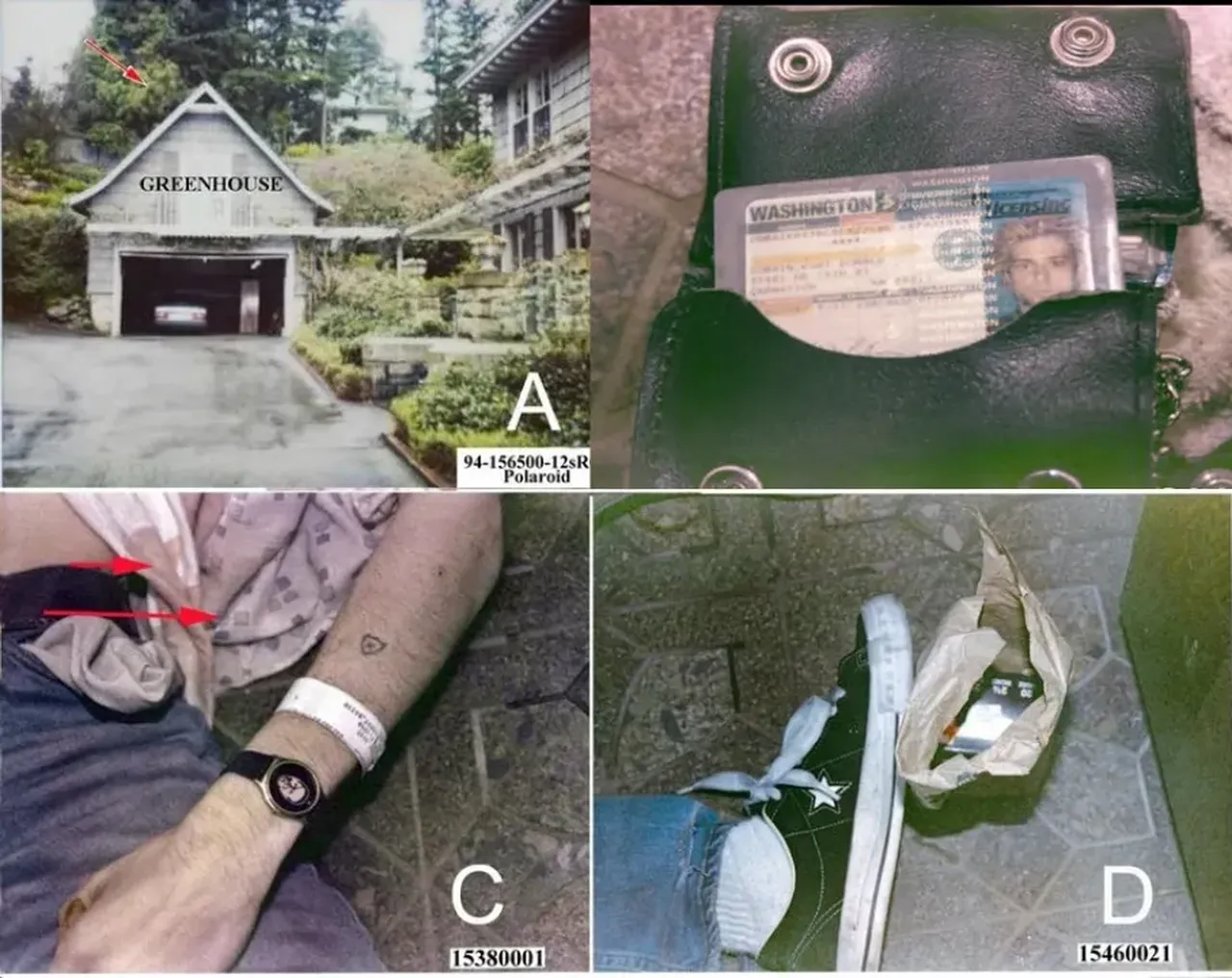 Ünlü şarkıcının karanlık dosyası: Kurt Cobaini kim öldürdü?