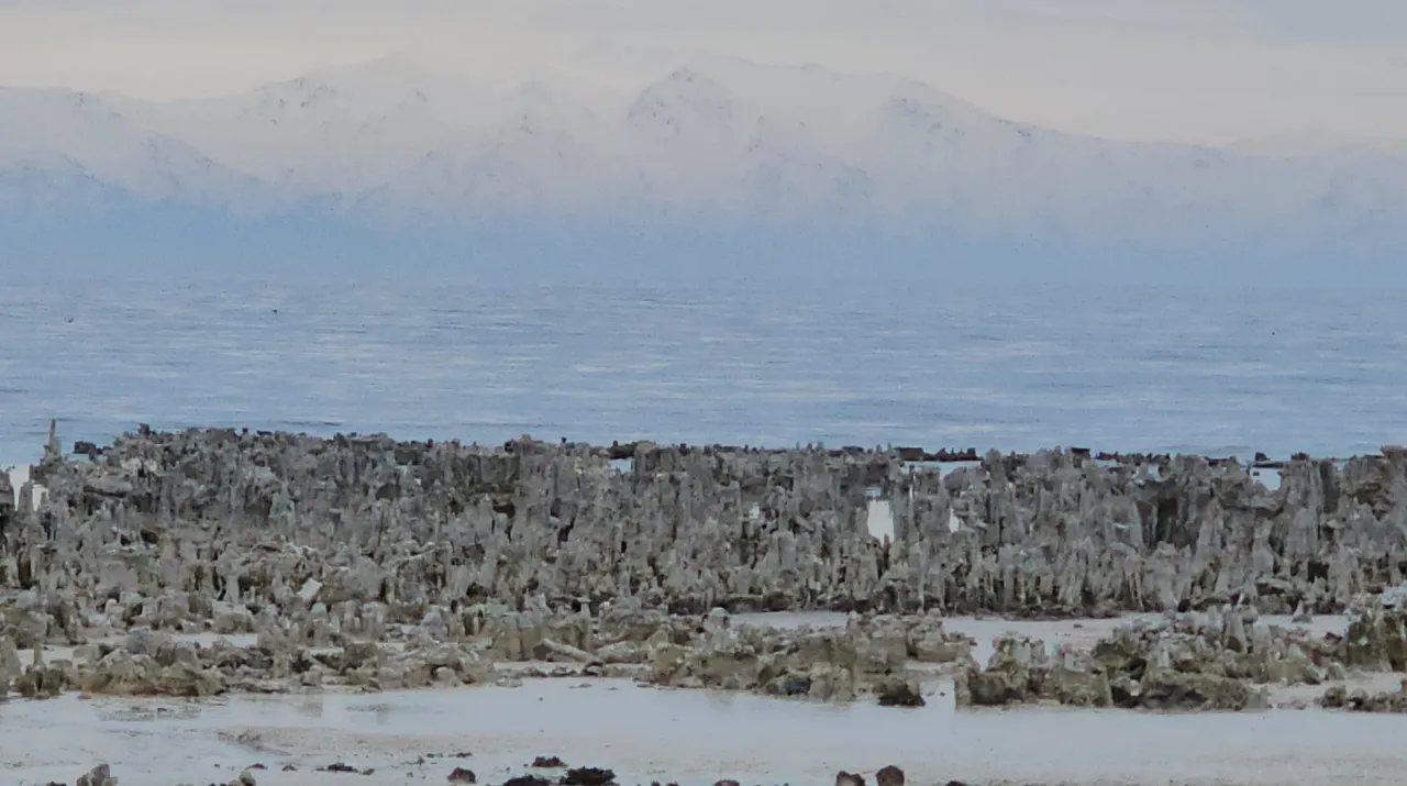 Van Gölü'nde sular çekildi, kuraklık alarm verdi! Mikrobiyalitler gün yüzüne çıktı
