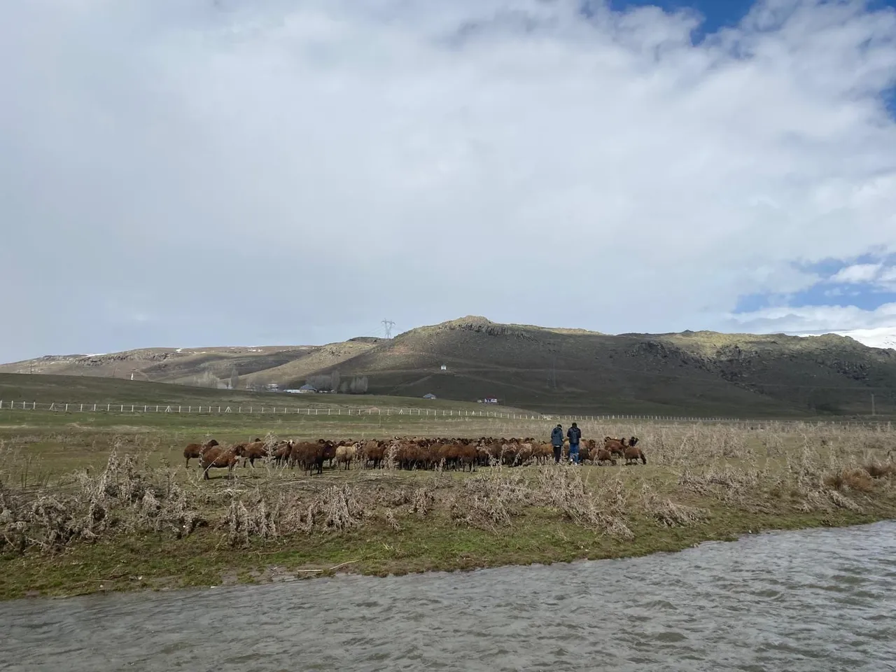 Besiciler dertli! 120 bin lira maaşla çalışacak çoban bulunamıyor