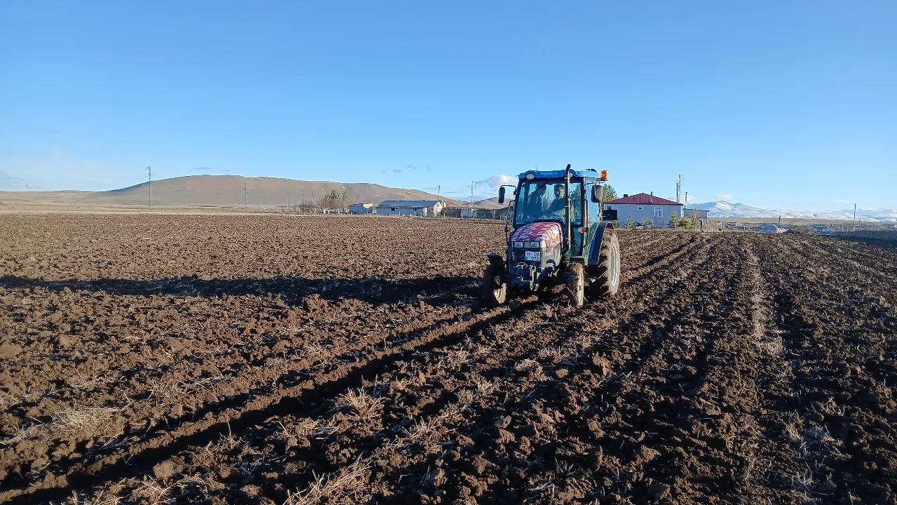 Çiftçiler tarlaya indi! Doğu Anadolu'nun tarım merkezinde ekin sezonu başladı