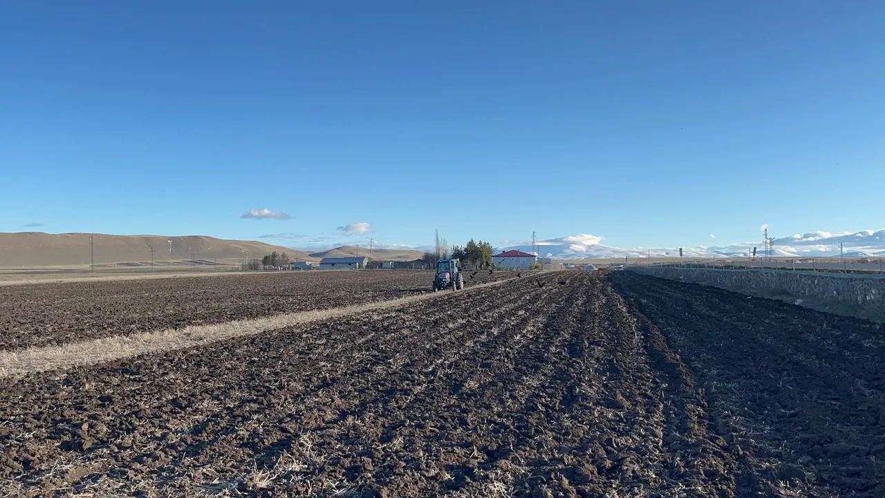 Çiftçiler tarlaya indi! Doğu Anadolunun tarım merkezinde ekin sezonu başladı