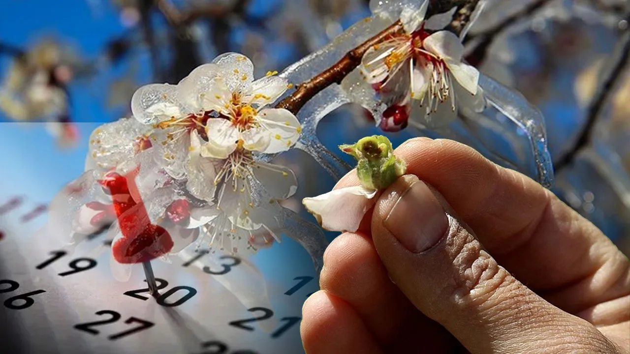 Zirai don için tarih verildi! Bakanlık üreticiyi uyardı 