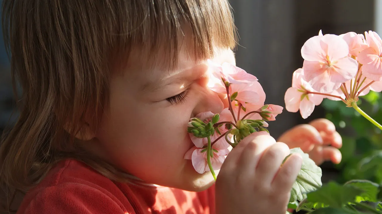 Bahar alerjisi çocukta astıma dönüşebilir