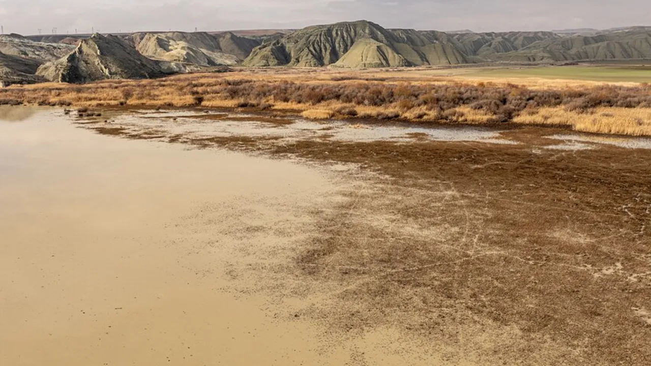 Bir sonraki aşama 'çöl iklimi' olabilir! Uzmandan net uyarı